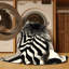 Tapis gris Mid-Century lavable à la machine Pavnesh Porcupine Starburst-1505953550