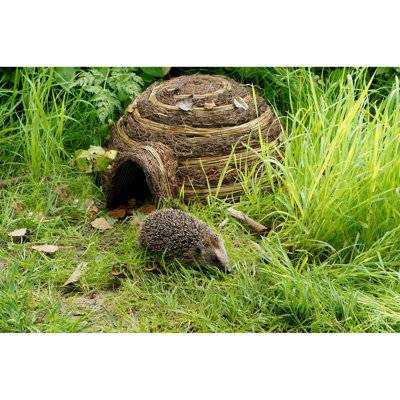 Liseron Freestanding Hedgehog House