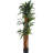 78'' Faux Dracaena Tree in Planter