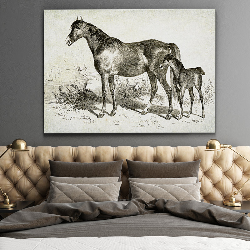 « équin sketch viii », impression, Pas de tapis, H 18 po x l 27 po x P 1,5 po, Toile tendue