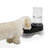 Elevated Gravity Pet Waterer-81425791