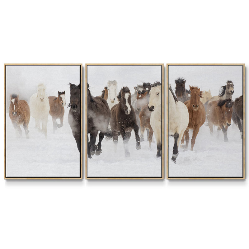 «Pasture Run», reproduction sur toile 3 pièces, H 24 po x l 48 po x P 2 po, Naturel