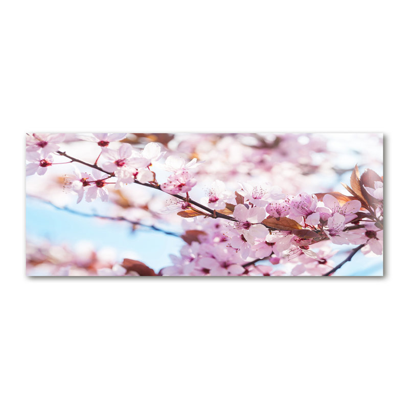 Cherry Blossoms - Wrapped Canvas Print