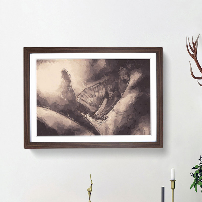 Butterfly Wing in Abstract - Picture Frame Painting Print, 48cm H x 65cm W x 2cm D, Walnut Framed