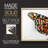 Wings I -Framed Print - Restickable-687884141-687884143