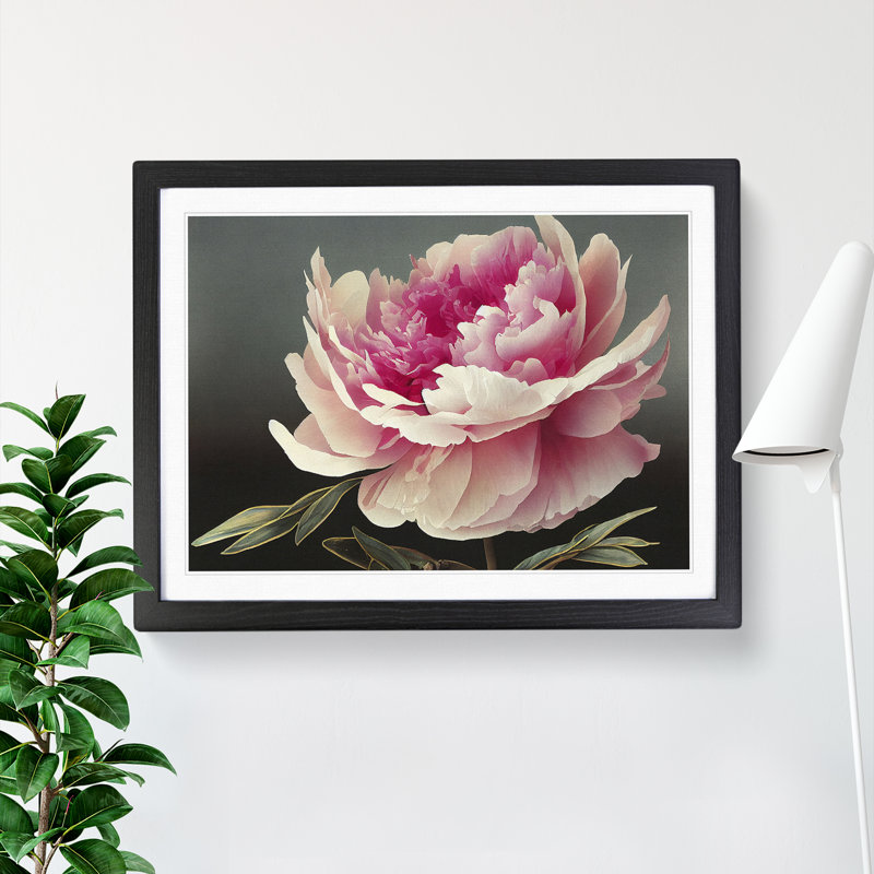 Uplifting Peony Flower - Framed Print, Black, 34cm H x 46cm W x 2cm D