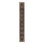 Oriental Area Rug in Rust