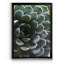 «Zen Succulent I» par J Paul - reproduction de photo sur toile encadrée-2023174109-2023174108