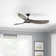 Obsidian Ceiling Fan