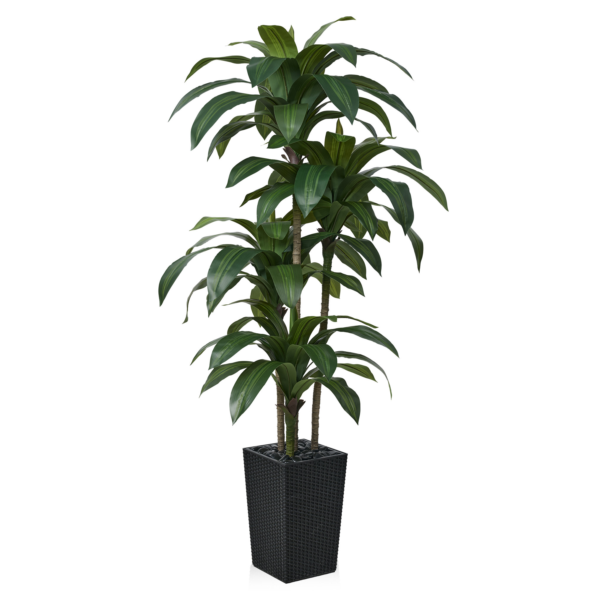 Adcock UV Resistant Artificial Green Dracaena Tree, Faux Tree with Large Base for Indoor Outdoor, 72" H x 24" W x 24" D