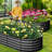 Set of 2 Oval Galvanized Steel Raised Garden Beds for Vegetables, Flowers, Herbs