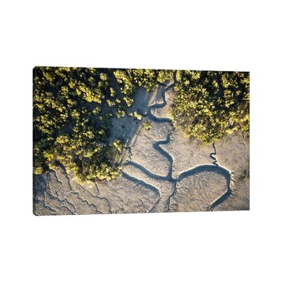 Raft Point Abstract Mangroves Aerial by James Vodicka - Wrapped Canvas Photograph -  East Urban Home, D7DCFC9EC97F4ECC911545DD4CD8FCAB
