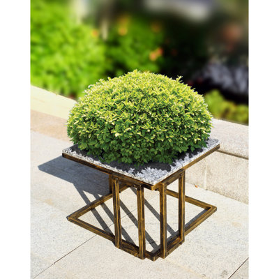 Support pour plante à pieds en métal noir / doré 14,5 po avec tablette en marbre de granit