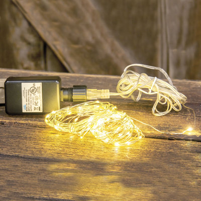 Indoor / Outdoor 100 - Bulb 54 in. Plug-in LED Standard String Light