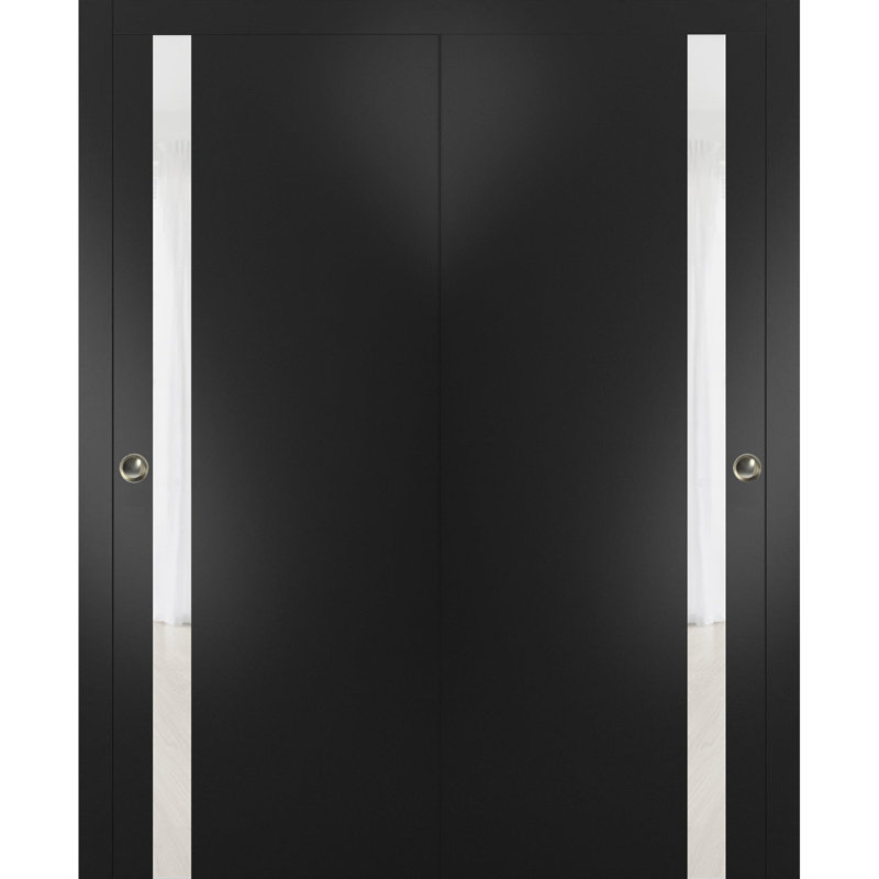 Portes coulissantes en verre givré Planum, Noir mat / blanc, 60 po x 96 po