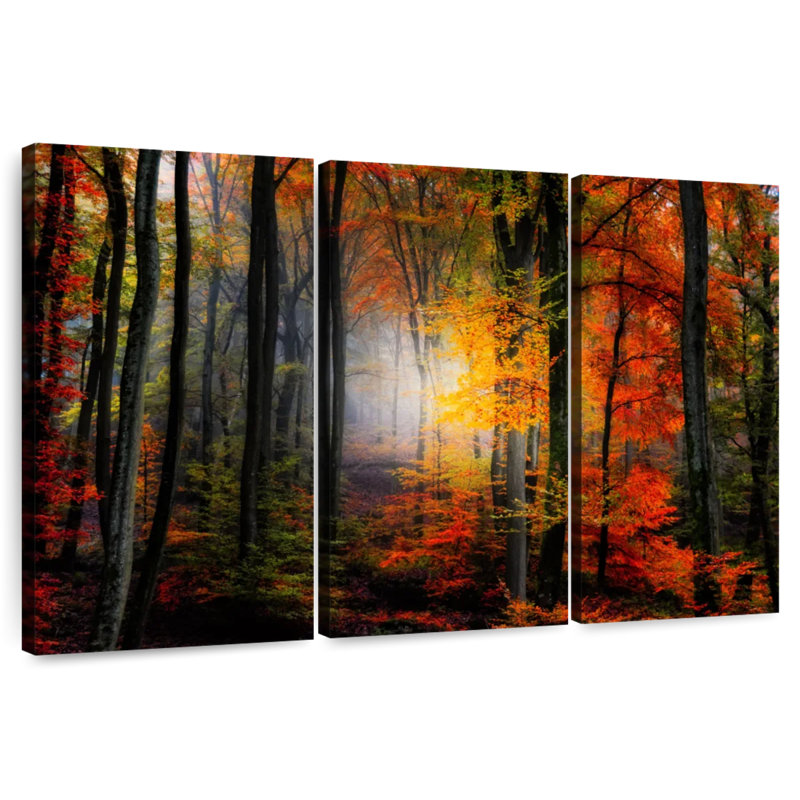Alvord Foggy Forest In Fall, 32" H x 50" W