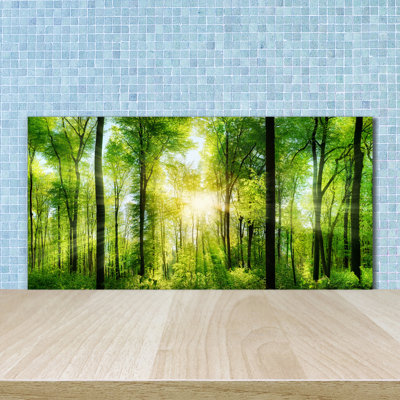 50cm W x 100cm L Glass Peel and Stick Panel