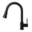 Edison Single Handle Kitchen Faucet with Side Spray and Accessories-1636815713