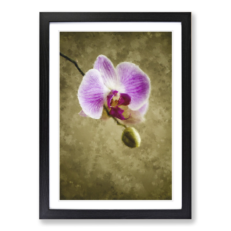Orchid Flowers Vol.6 - Framed Print, Black Framed, 36cm H x 27cm W x 2cm D