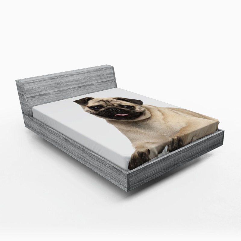 Microfiber Fitted Sheet, Queen Fitted Sheet