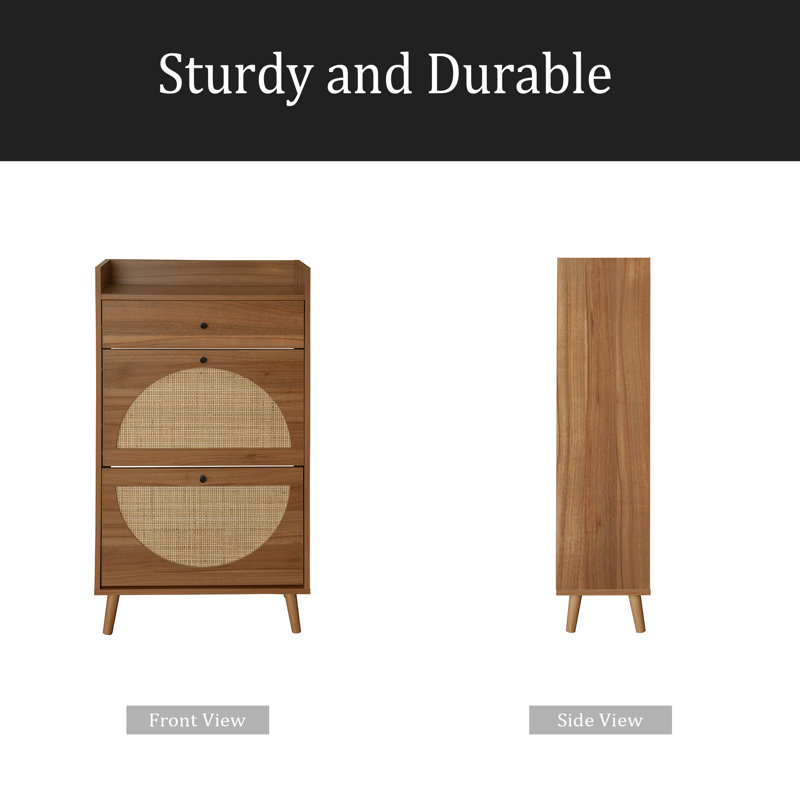 Rotin, armoire à 2 portes et 1 tiroir Allen, range-chaussures, double couche, convient à l'entrée, Noyer