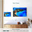 Gillard Navagio Beach, Grèce-107960622