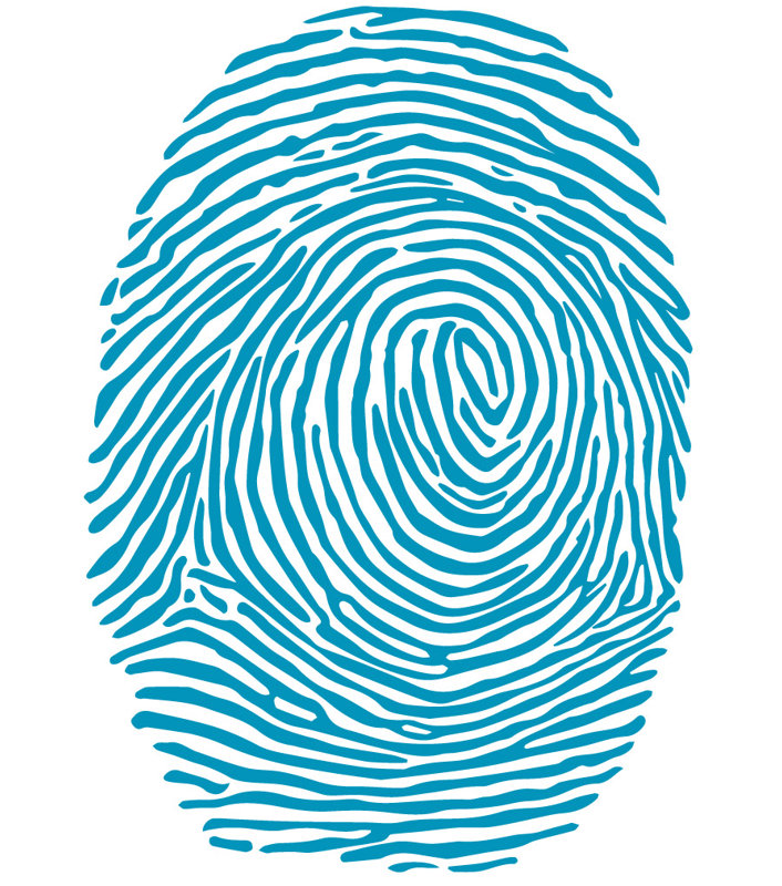 Décalcomanie murale à empreinte digitale, H 21 po x l 15 po x P 0,01 po, Bleu sarcelle