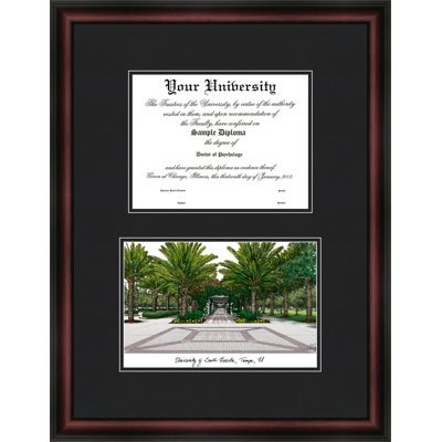 NCAA South Florida Bulls Diplomate Diploma Frame