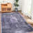 Area Rug 4X6, Machine Washable, Non-Slip, For Living Room, Bedroom, Kitchen, Dining Room - Material 4X6 Washable Rug, Low-Pile, Non-Shedding, Fabulous Option-2005198645