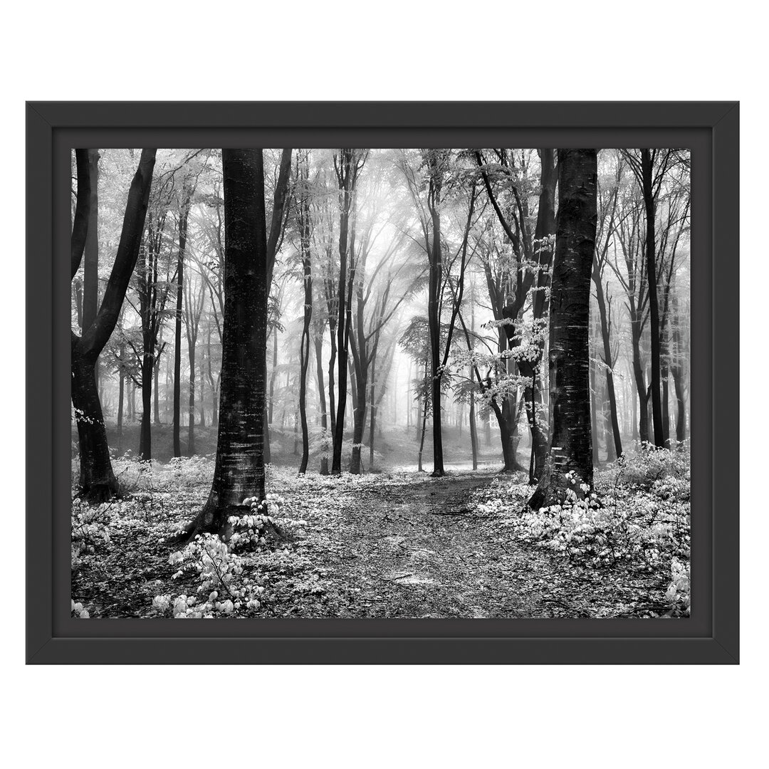 Gerahmter Fotodruck Sunny Trail in einem Wald