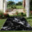 Marble Pattern Area Rug, Soft And Lightweight, Suitable For All Seasons, Easy To Maintain And Easy To Clean, Machine Washable Carpet Floor Mat, Suitable For Living Room, Bedroom, Hallway, Balcony, Patio, Room Decor, Home Decor, Outdoor Decor-372655865