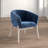Barnes Velvet Barrel Chair-485717955
