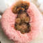 Almaguer Calming Round Donut Plush Dog Cuddler Bed-695170516-695135612