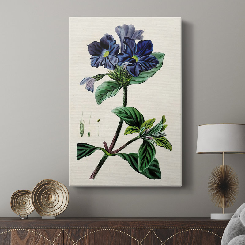 AntiqueFloralFolioIV - galerie Cavas sur mesure, H 60 po x l 40 po