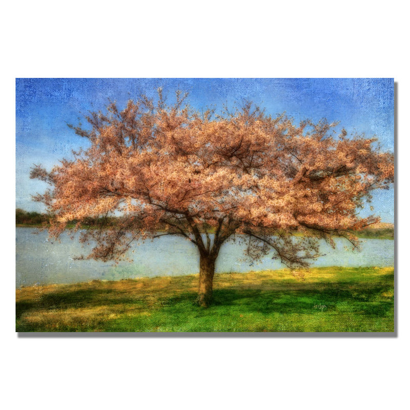« cerise tree » par lois bryan, reproduction d’art sur toile tendue, H 16 po x l 24 po x P 2 po
