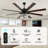 Terriek 72" Black Ceiling Fans with Lights and Remote, 6 Speed Reverisble DC Motor Large Motor Modern Ceiling Fan-868463039