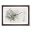 Perched Dragonfly - Framed Print-56851628-56851629