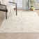 Machine Woven Beige/Black/Grey Indoor Rug