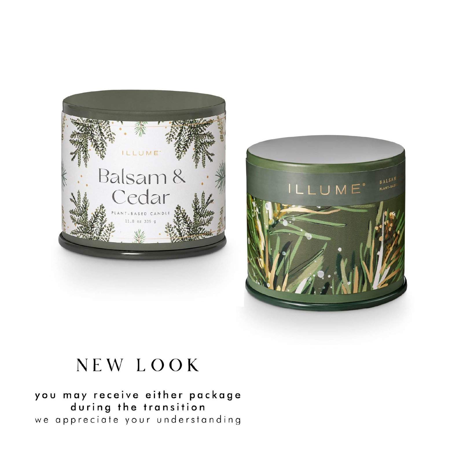 Balsam Cedar Scented Candle, Vanity Tin