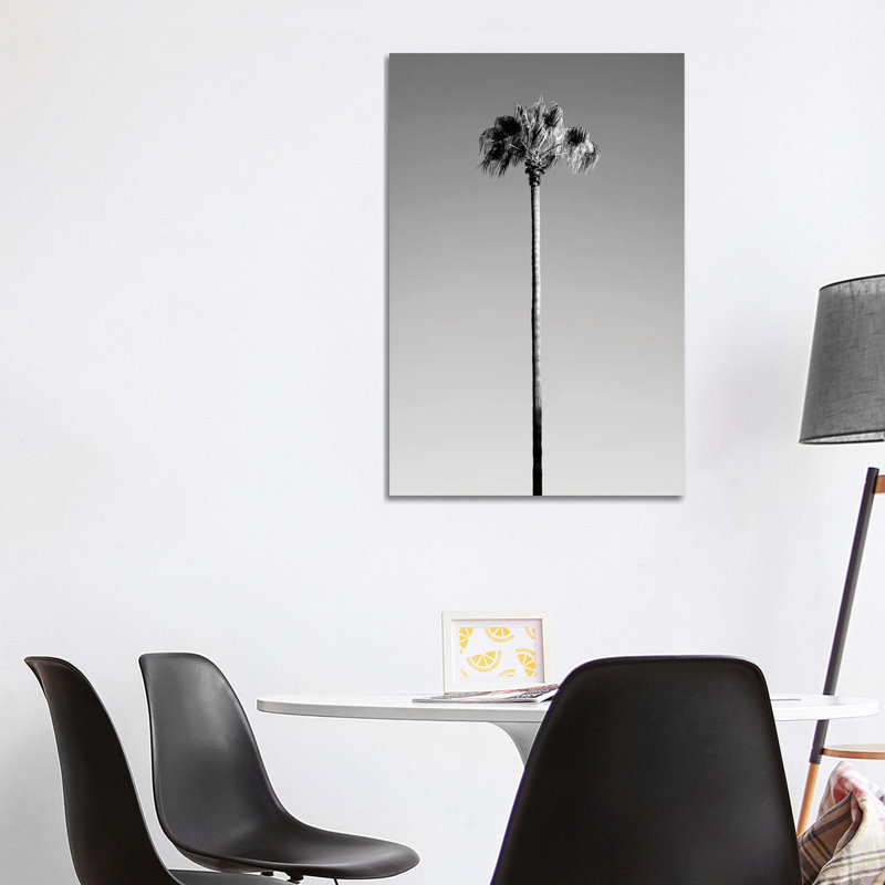 Palm Tree by Philippe Hugonnard - Wrapped Canvas Print, 101.6 cm H x 66.04 cm W x 1.91 cm D