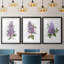 Awash In Lilac I, reproduction encadrée de qualité supérieure - prête à être accrochée-69982244-69982247