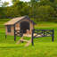 Niche pour chien Dashani