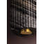 Aden 1 Light Wall Sconce