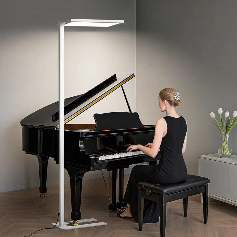 100W LED Dimmable Floor Lamp