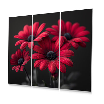 Monochromes rouges, romantiques, lueur romantique I - marguerites, ensemble de reproduction d'art mural