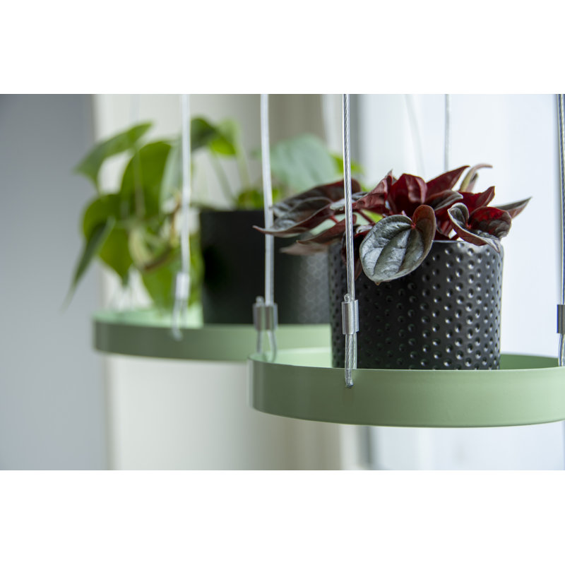 Plant Tray Hanging Round, 2.1 H x 14 L x 14cm D, Green