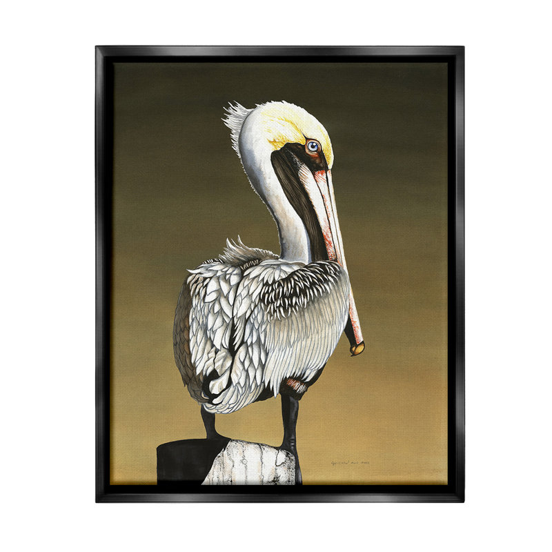 «Pelican With Intense Gaze» par Christine Reichow sur, Cadre flottant noir de jais, H 21 po x l 17 po