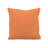 Gabi Sunbrella® Indoor/Outdoor Throw Pillow-54696652-55388395