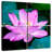 Harnek Lotus Blossom-109121142