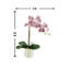 Orchid In A Silver Vase